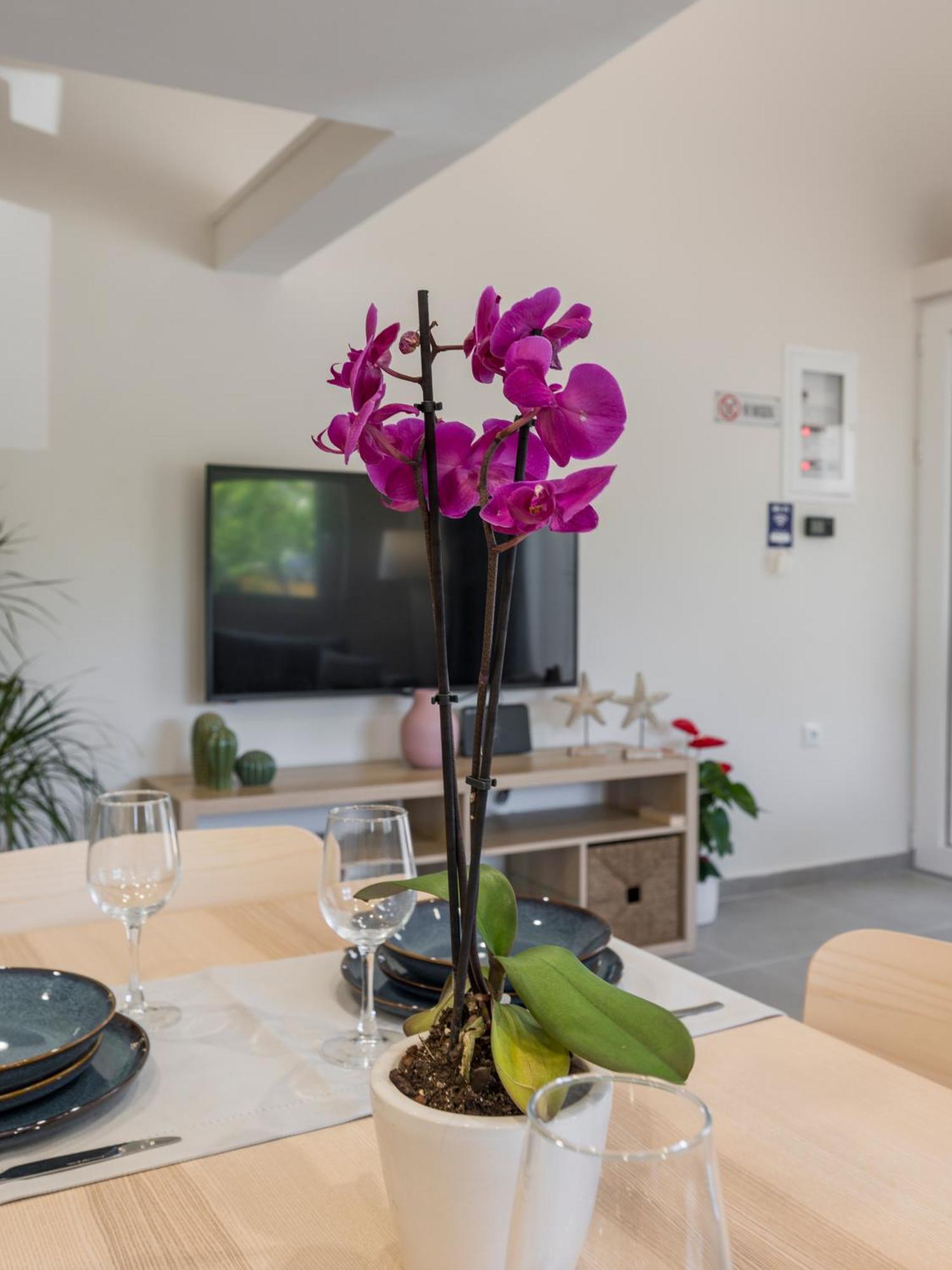Eranthis Appartement La Canée